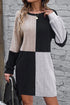 Ribbed Color Block Drop Shoulder Long Sleeve Mini Dress